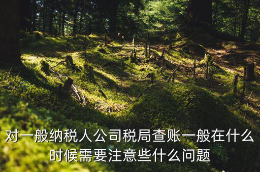 一般地稅稽查會在什么時候，稅務(wù)局什么時候會查賬不申報有哪些后果