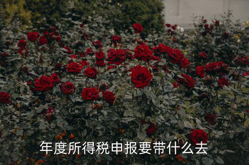 納稅申報(bào)應(yīng)帶什么東西，你好 到稅務(wù)局報(bào)稅需要帶什么東西怎么報(bào)