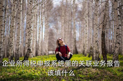 什么情況寫關聯(lián)申報，企業(yè)所得稅申報系統(tǒng)里的關聯(lián)業(yè)務報告該填什么