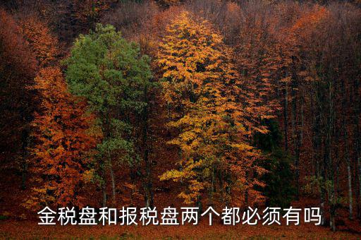 申報(bào)盤是什么，保險(xiǎn)兼業(yè)代理人資格申報(bào)電腦數(shù)據(jù)盤是什么意思