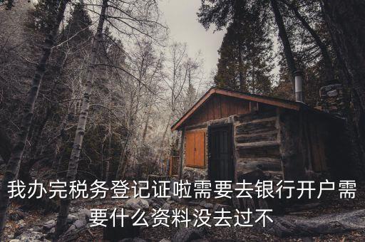 稅務(wù)登記以后需要什么資料，辦理稅務(wù)登記證都需要提供什么資料