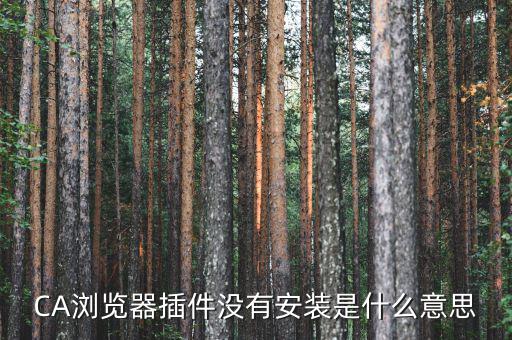 CA瀏覽器插件沒(méi)有安裝是什么意思