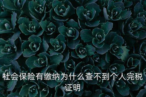 為什么查不到納稅記錄，社會保險有繳納為什么查不到個人完稅證明