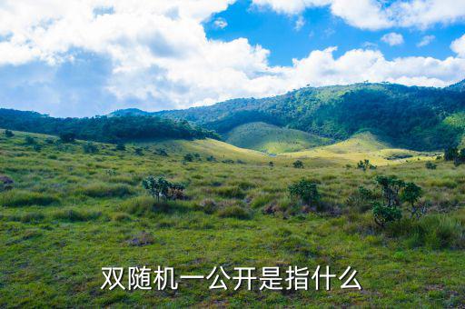 稅務(wù)雙隨機(jī)一公開(kāi)是什么意思，雙隨機(jī)一公開(kāi)屬于什么用語(yǔ)比如習(xí)語(yǔ)標(biāo)語(yǔ)或者成語(yǔ)之類(lèi)的因?yàn)?/></a></span><span id=