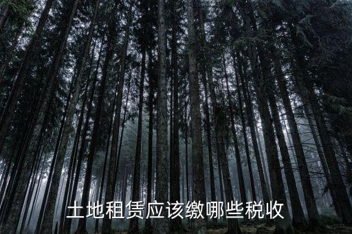 土地租賃需要交什么稅，土地租賃應該繳哪些稅收