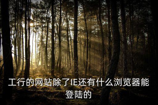 開票登陸的瀏覽器是什么，工行的網(wǎng)站除了IE還有什么瀏覽器能登陸的