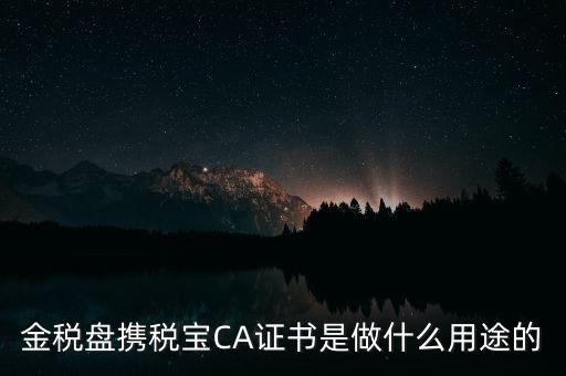 企業(yè)ca證書有什么用，財(cái)悠悠CA數(shù)字證書有什么作用對于企業(yè)可以起到什么作用