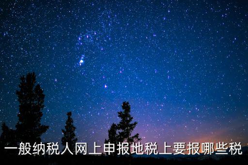 地稅都申報(bào)什么，一般納稅人網(wǎng)上申報(bào)地稅上要報(bào)哪些稅