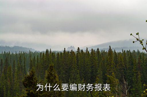 為什么要申報財務報表，為什么要編財務報表