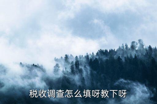 稅收調(diào)查主要調(diào)查什么，企業(yè)所得稅稅收調(diào)查