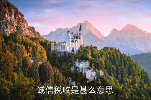 什么是誠信納稅，依法誠信納稅共建小康社會是對的嗎