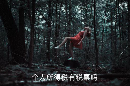 個人所得稅是什么發(fā)票，個人所得稅有稅票嗎