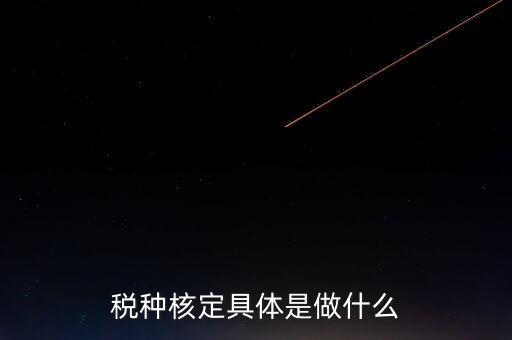 票中核定是什么核定的，哪些情況下要進行國稅票種核定