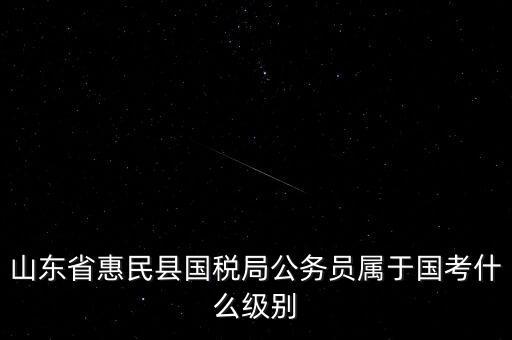 惠民國稅局在什么地方，國稅局在哪里