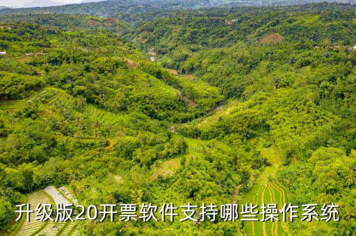 開票軟件適用什么系統(tǒng)，有沒有適合電商用的發(fā)票處理系統(tǒng)