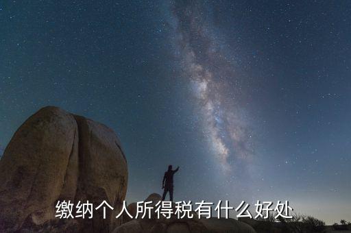 個(gè)人報(bào)稅有什么用，個(gè)人自行納稅申報(bào)有什么好處