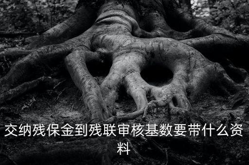 去稅務(wù)申報殘保金帶什么資料，去地稅交殘疾人保障金需要什么資料