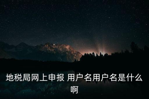 山東地稅網(wǎng)上申報(bào)賬號(hào)密碼是什么，地稅申報(bào)的用戶名和密碼是什么