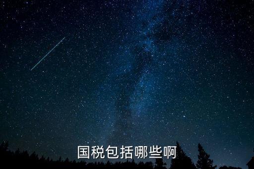 國稅涵蓋什么，國稅包括哪些啊