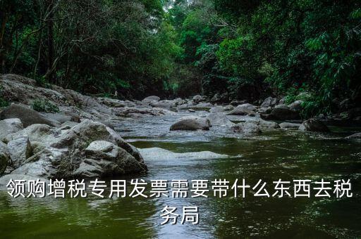 領(lǐng)購(gòu)增稅專(zhuān)用發(fā)票需要帶什么東西去稅務(wù)局
