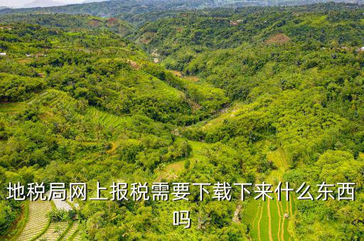 地稅局網上報稅需要下載下來什么東西嗎