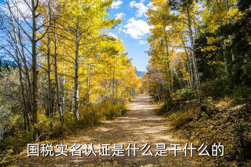 國稅局實名認(rèn)證是什么，今天國稅局叫去實名認(rèn)證認(rèn)證是不是就得交