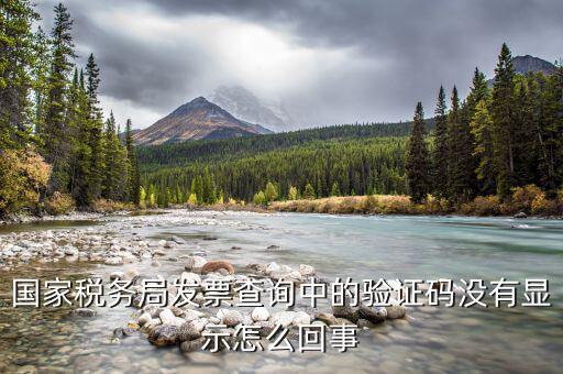 國稅查發(fā)票驗(yàn)證碼是什么，查稅票驗(yàn)證碼42是啥意思呀