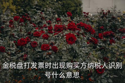 金稅盤打發(fā)票時(shí)出現(xiàn)購買方納稅人識別號什么意思