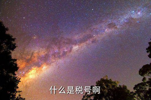 公司稅號是什么，公司的稅號一般有多少位