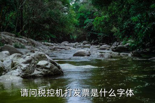 發(fā)票用什么字體，請問稅控機打發(fā)票是什么字體