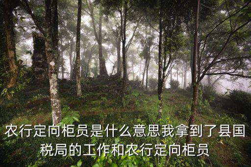 國稅值班是什么意思，農(nóng)行定向柜員是什么意思我拿到了縣國稅局的工作和農(nóng)行定向柜員