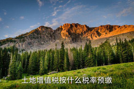 山東省土地增值稅按什么預(yù)繳，山東文登市土地增值稅預(yù)繳稅率是多少