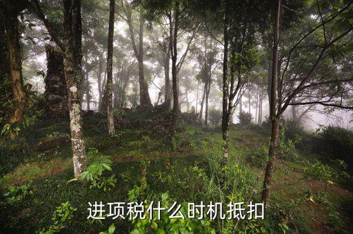 認(rèn)證的進(jìn)項稅什么時候抵扣，進(jìn)項稅什么時機(jī)抵扣