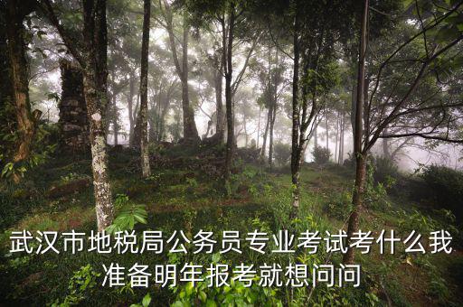 省地稅局復(fù)試考什么，武漢市地稅局公務(wù)員專業(yè)考試考什么我準(zhǔn)備明年報考就想問問