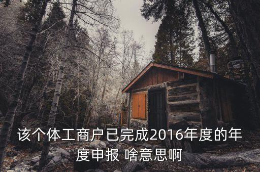 個(gè)體戶申報(bào)是什么意思，該個(gè)體工商戶已完成2016年度的年度申報(bào) 啥意思啊