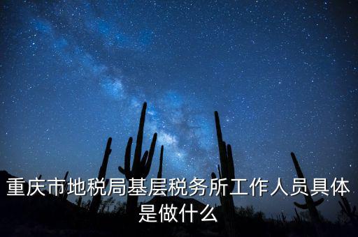 重慶地稅局前臺做什么的，重慶市地稅局基層稅務(wù)所工作人員具體是做什么
