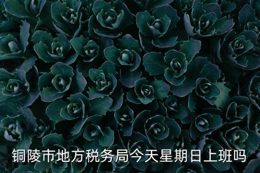 銅陵地稅局在什么地方，銅陵市地方稅務局今天星期日上班嗎