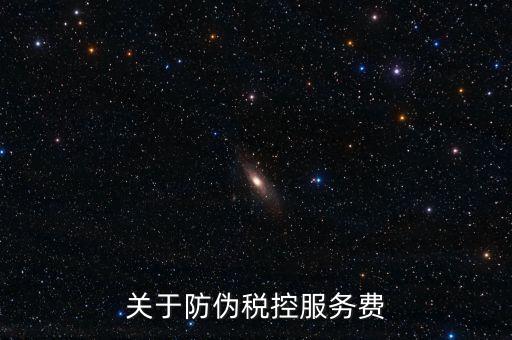 關(guān)于防偽稅控服務(wù)費
