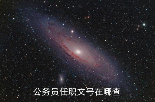 什么地方可以查任職文號，公務員任職文號在哪查