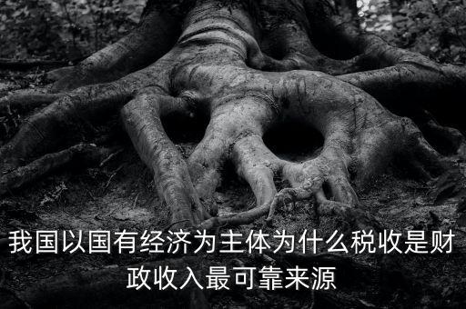 我國以國有經(jīng)濟(jì)為主體為什么稅收是財(cái)政收入最可靠來源