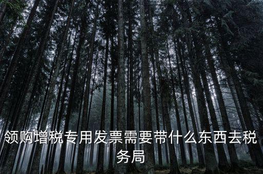 領(lǐng)專票帶什么資料，去稅務局領(lǐng)發(fā)票需要帶什么資料去