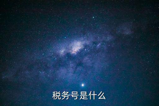 什么是稅務(wù)登記號，稅務(wù)號是什么