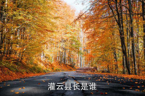 灌云國稅局局長叫什么，國家稅務(wù)局局長叫什么