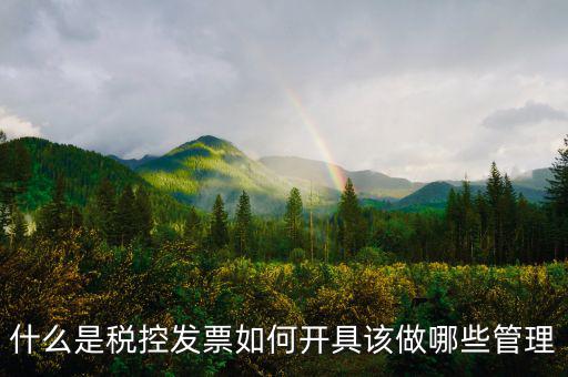 申請稅控是什么，什么是稅控盤申請稅控盤需要什么手續(xù)