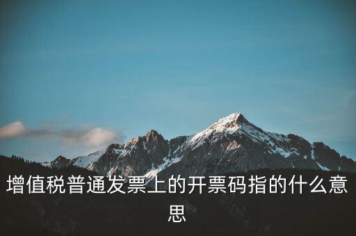 稅控盤開票碼是什么，增值稅普通發(fā)票上的開票碼指的什么意思