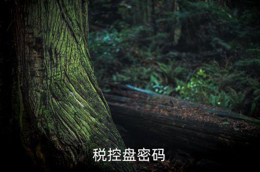 稅控盤(pán)證書(shū)密碼是什么意思，稅控盤(pán)上報(bào)匯總密碼是什么