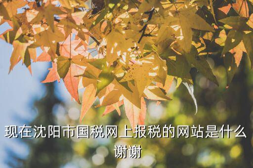 國(guó)稅交稅的網(wǎng)站是什么，現(xiàn)在沈陽(yáng)市國(guó)稅網(wǎng)上報(bào)稅的網(wǎng)站是什么 謝謝