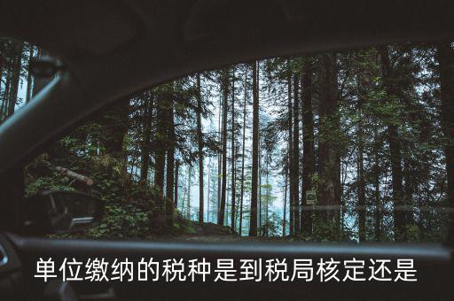 什么時(shí)候 稅種核定，單位繳納的稅種是到稅局核定還是