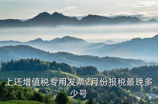 己開具專用票最遲什么時侯報稅，銷售貨物開具了發(fā)票什么時候報稅