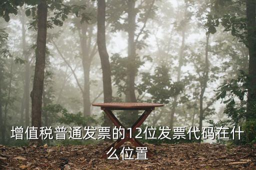 12位發(fā)票代碼是什么，增值稅普通發(fā)票的12位發(fā)票代碼在什么位置